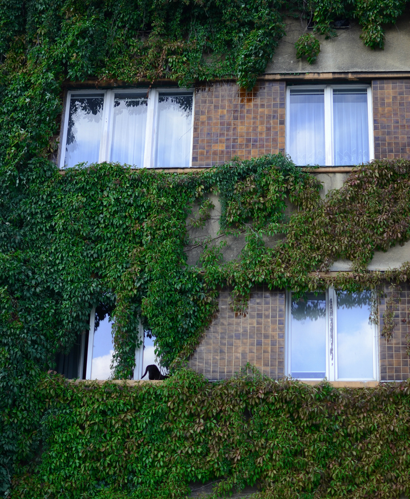 52. stare polesie, d