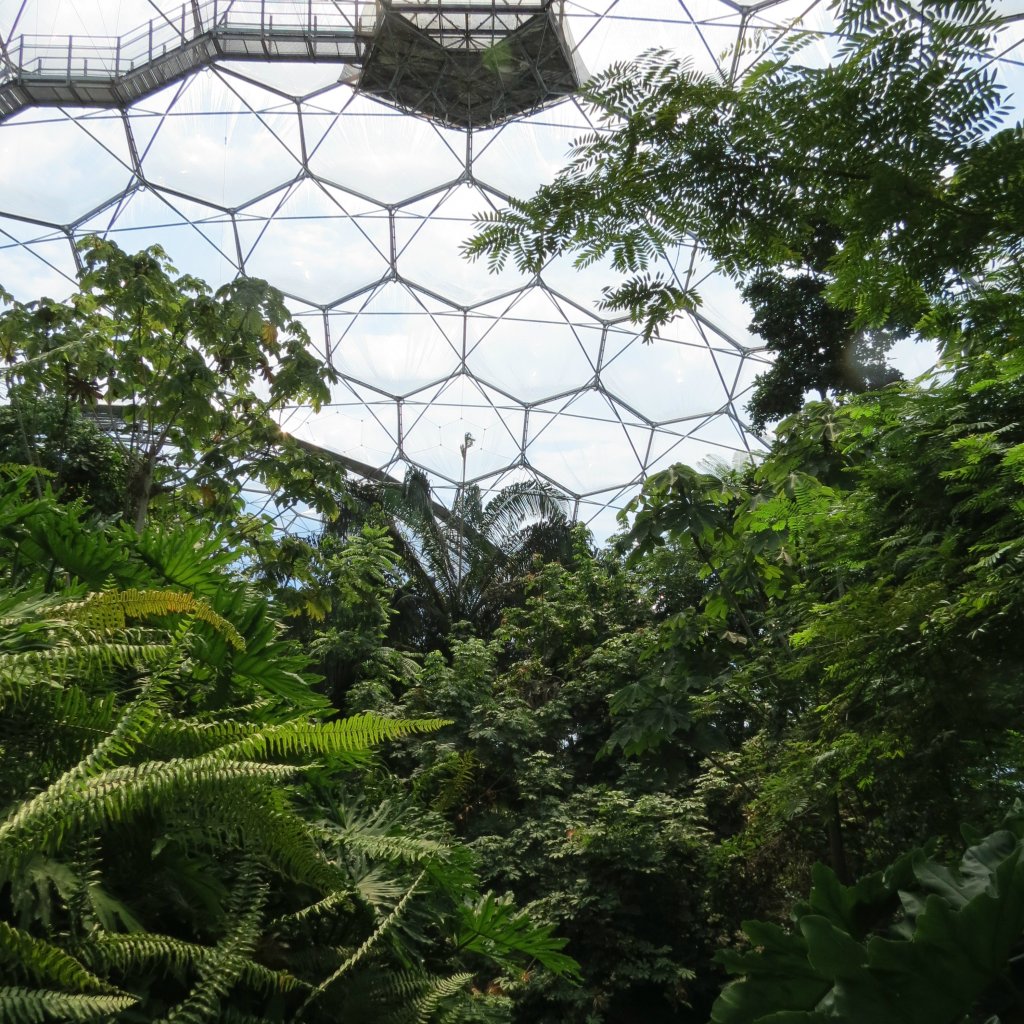 EDEN PROJECT