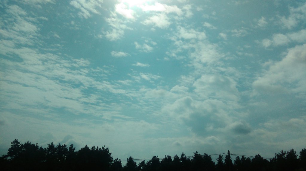 Wycieczka