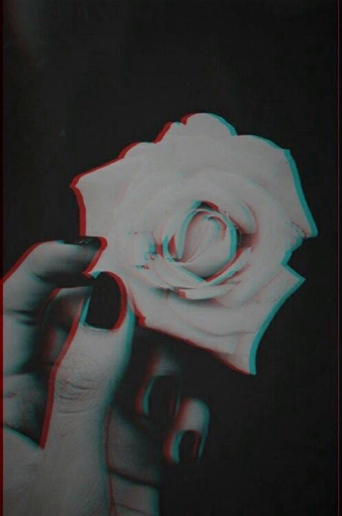 new life/ 1