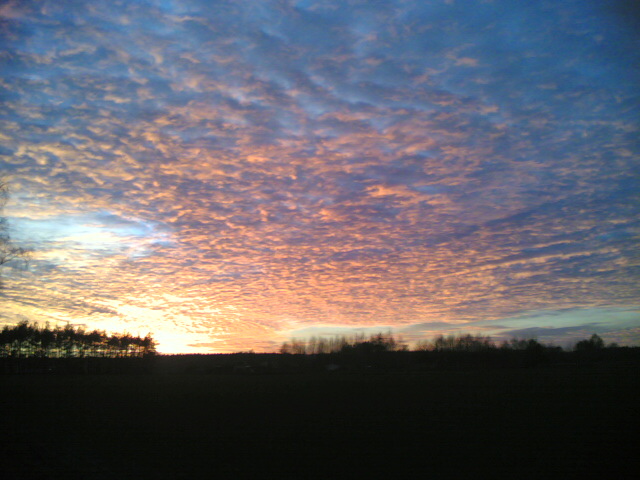 sunset