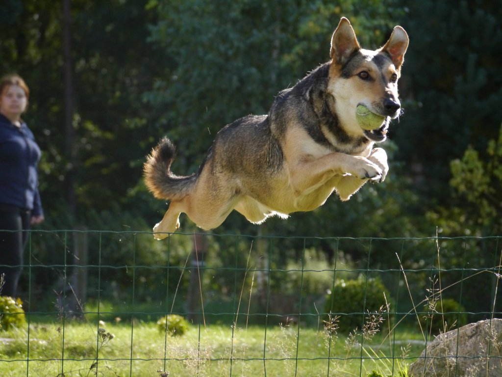 Superhero