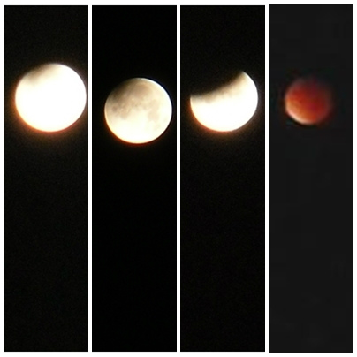 #bloodmoon