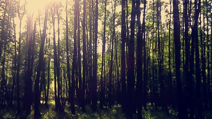 memories are forever! 
