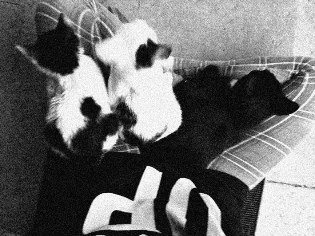91.
