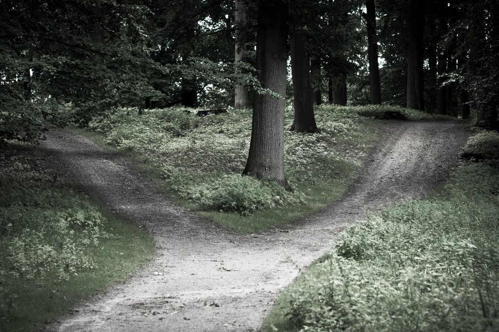 Stwierdzam   .