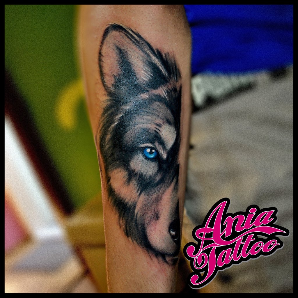 Tatua wilk 