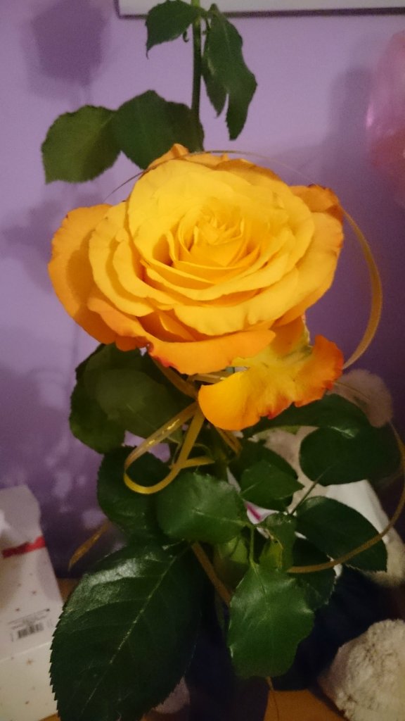 6.10.2015 :* 