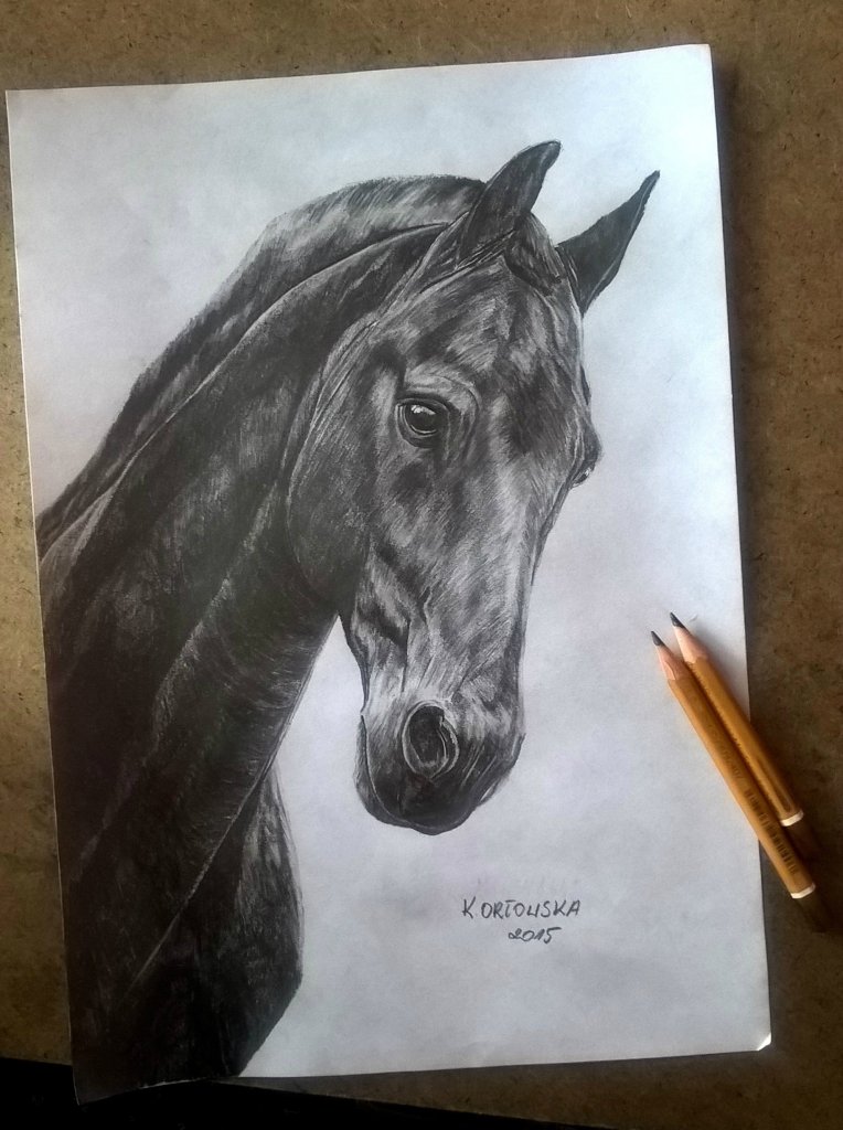 Hors