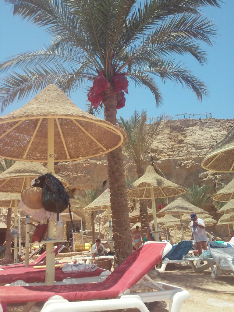 #misssummer#freeday.egypt