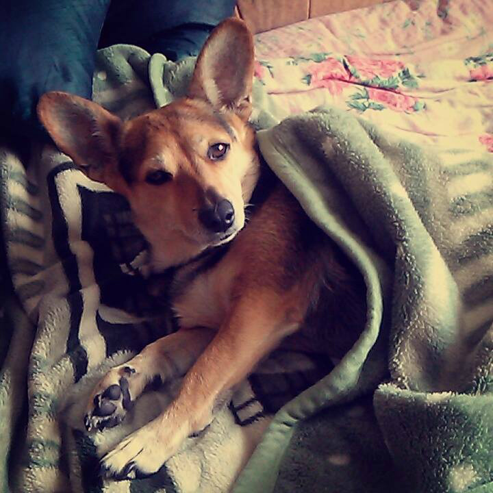 Fifi :)