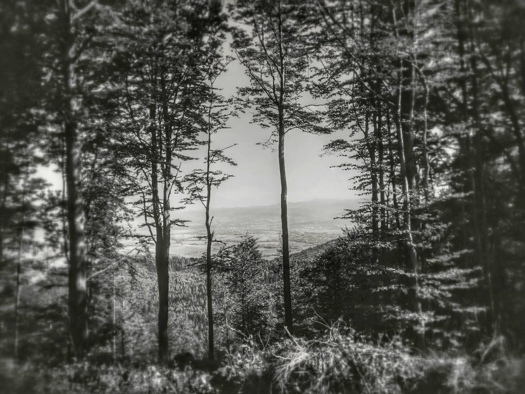 take a breath.