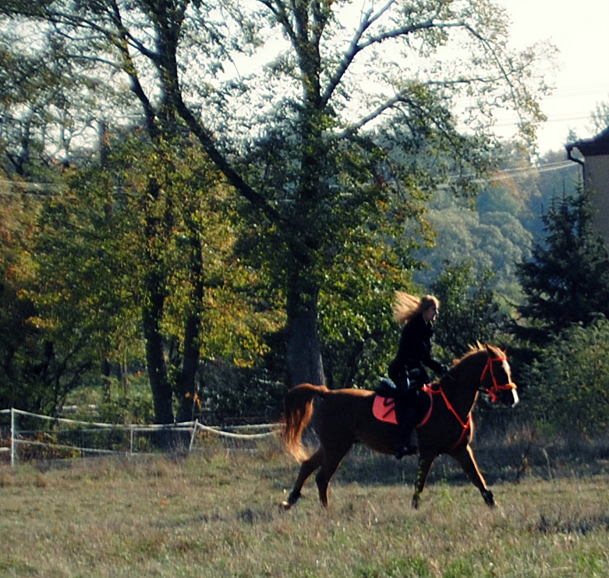 hubertus