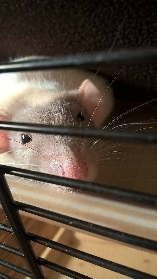 :*