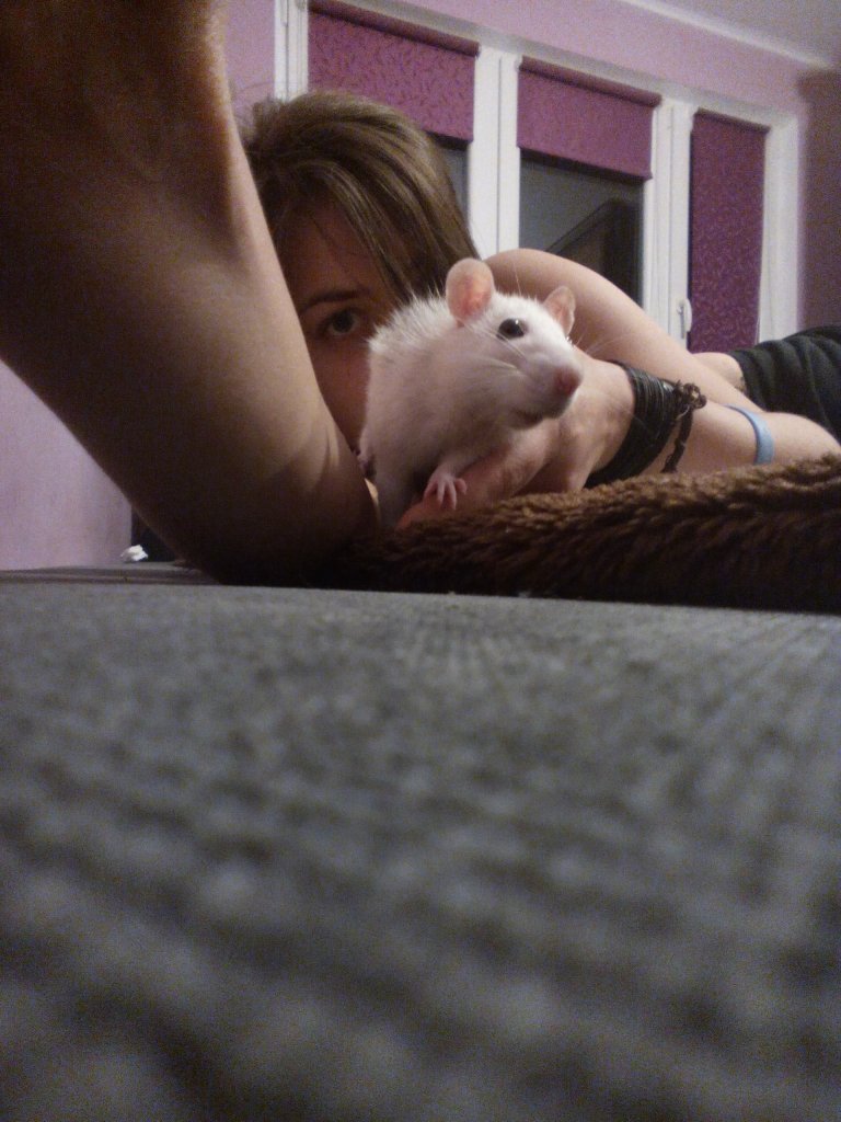 nioch.nioch