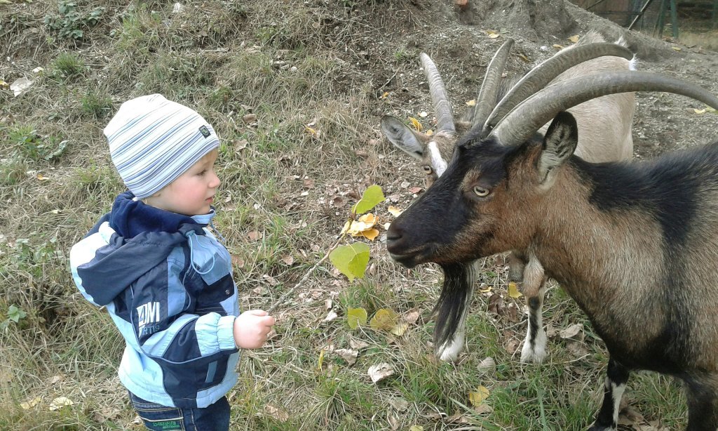 ssiedzi ;)