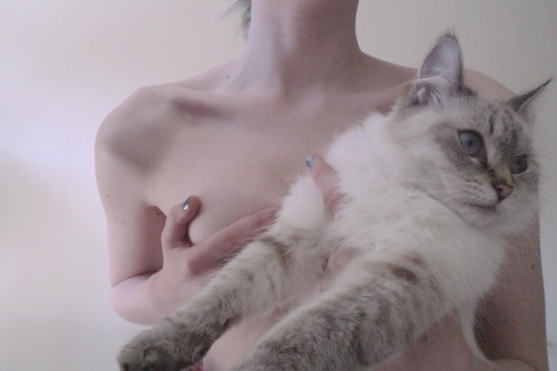 Miao by...