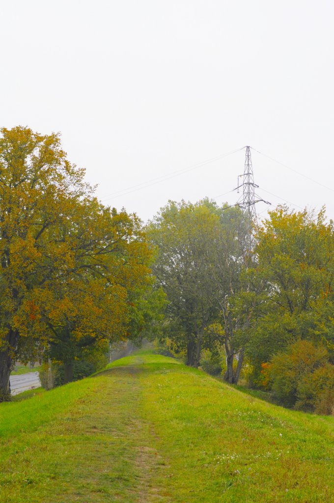 Autumn