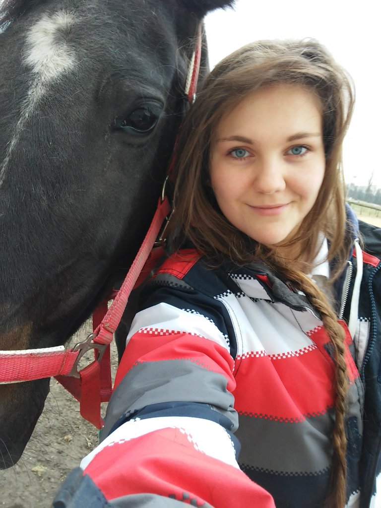 horse