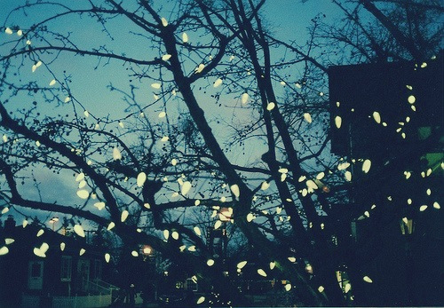 Cytaty;.