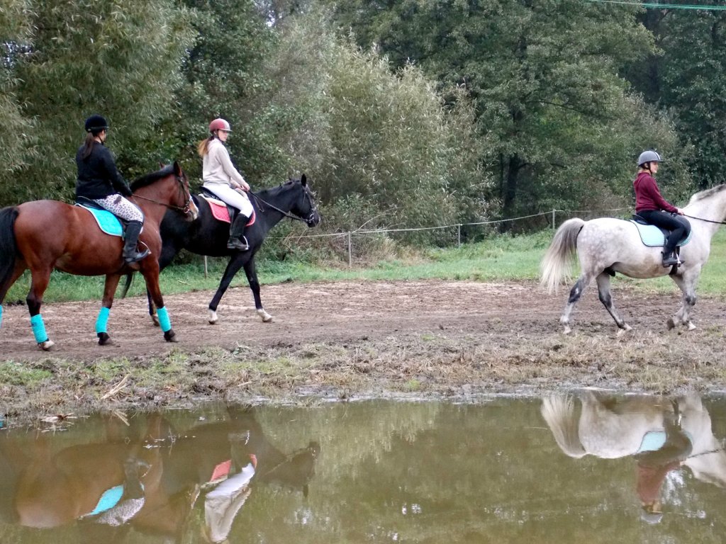H 2015.