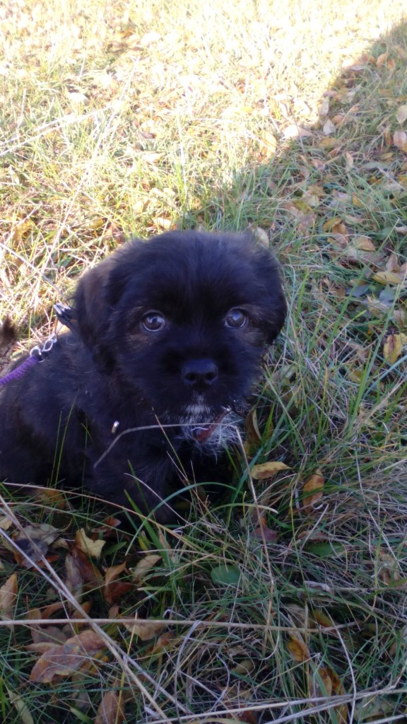 Lunka:)