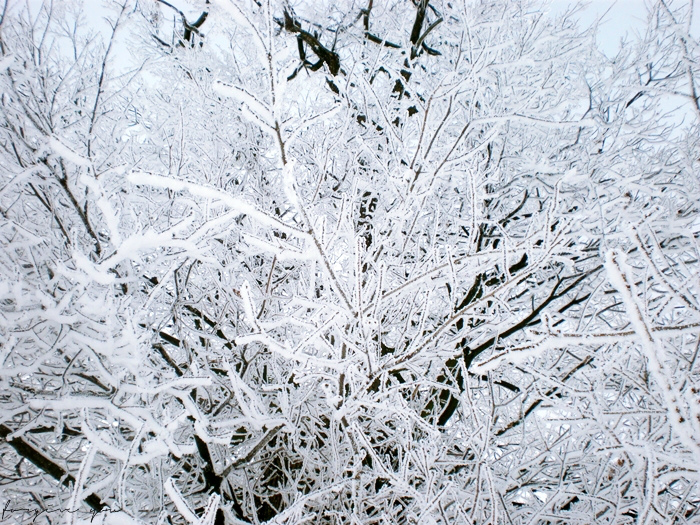 I WANT TO... WINTER &#10052;
