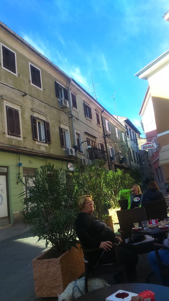 Wizje