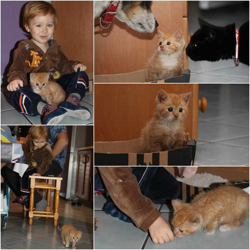 nasz nowy domownik ;)