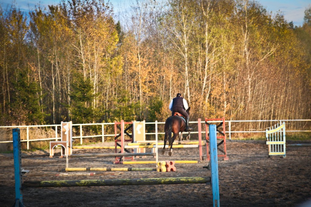 Autumn &#9829;