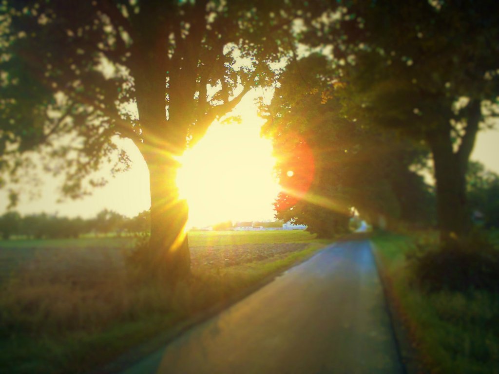 #Myway