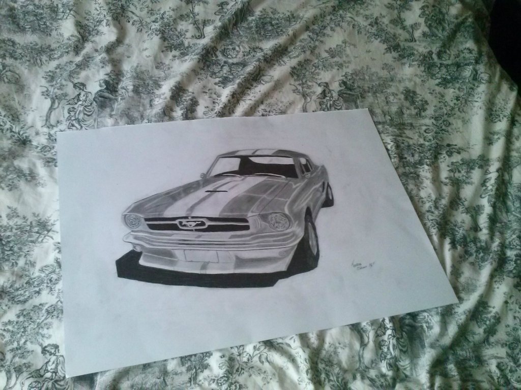 MUSTANG 