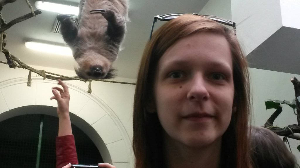 zoo