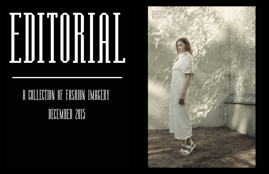 Publikacja w Editorial Magazine