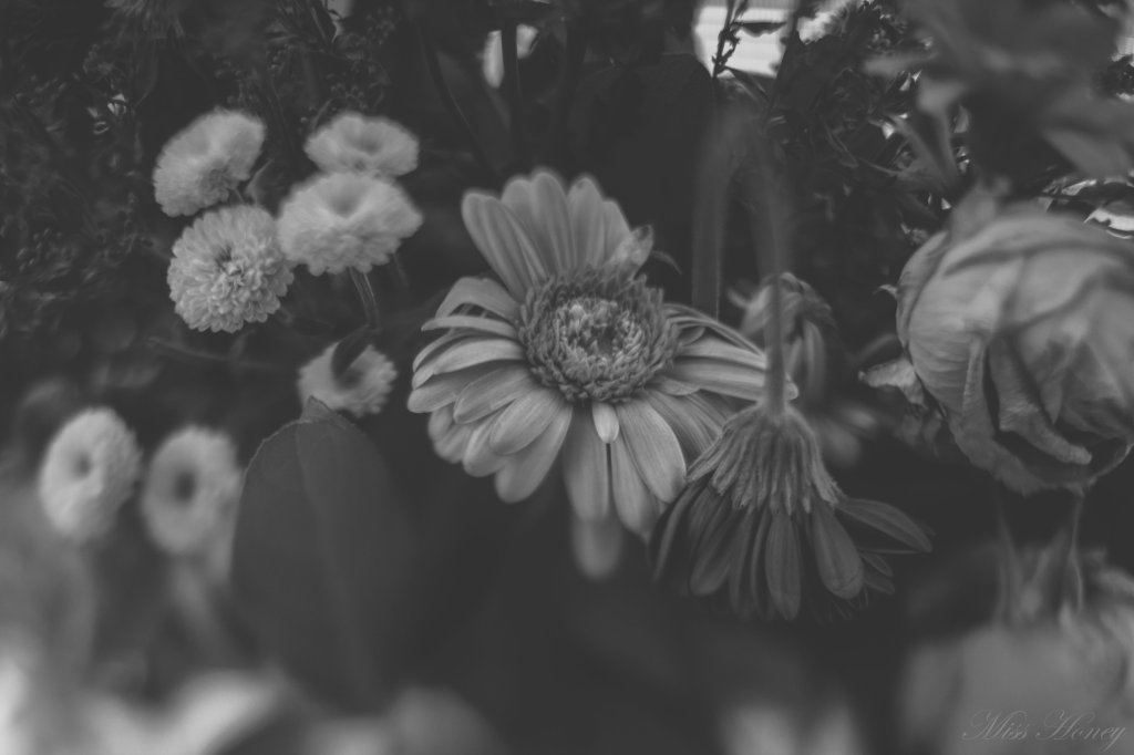 3.