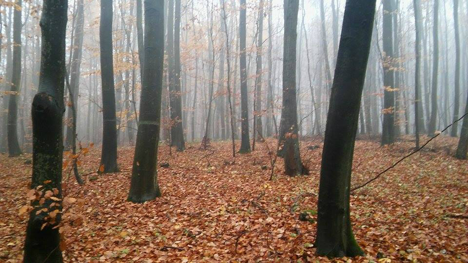 Zbirka