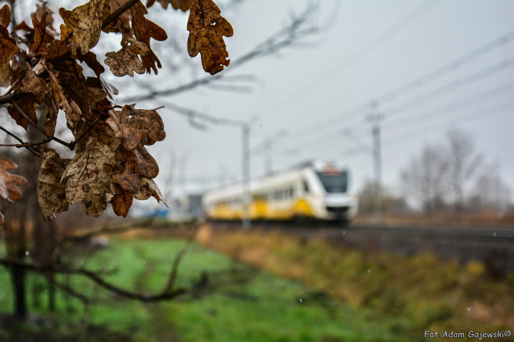 31WE-005