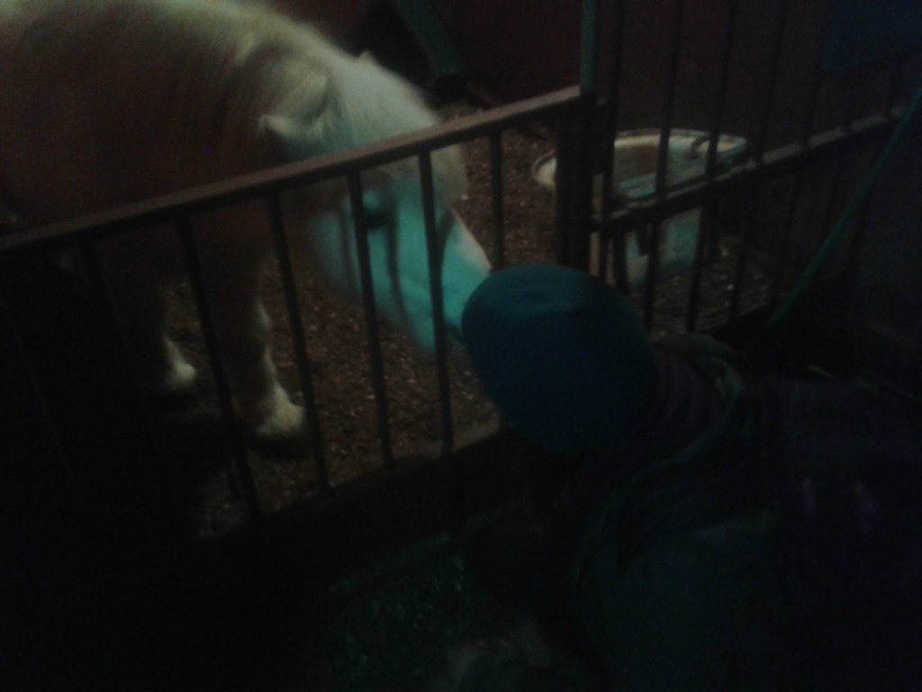 09-12-15 LOLEK I HANKA