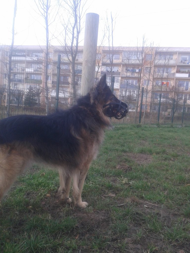 10.12.15 MORENA SPACER Z ALEXEM