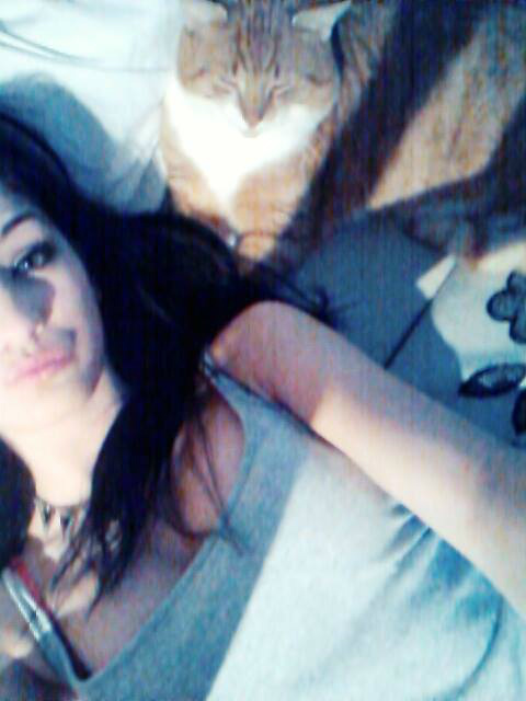#kotek *-*