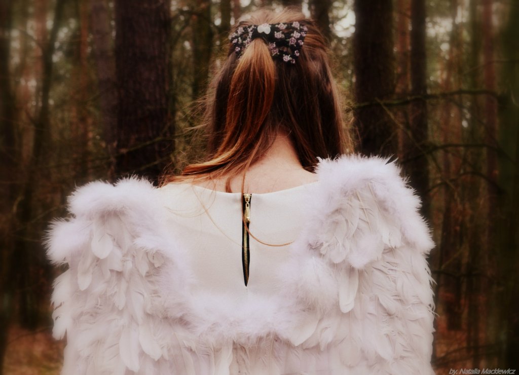 mod. Klaudia