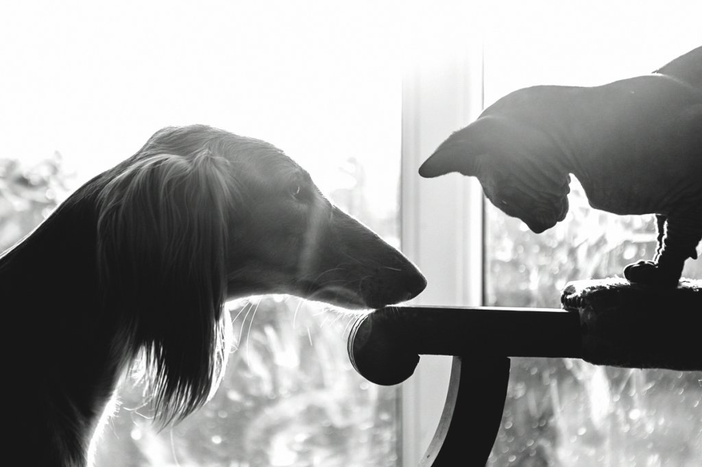 Bianka & Ivan