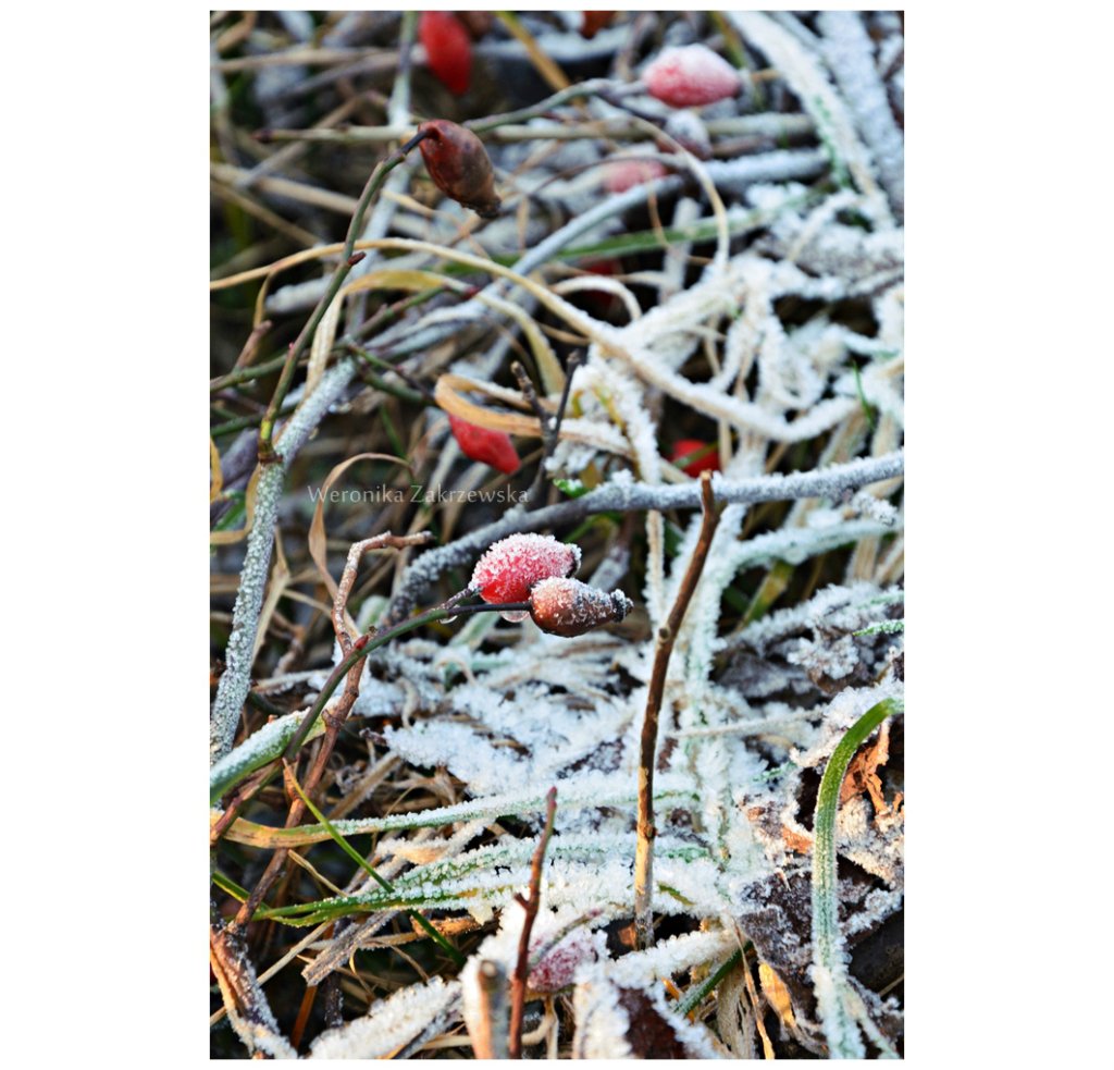 #123
