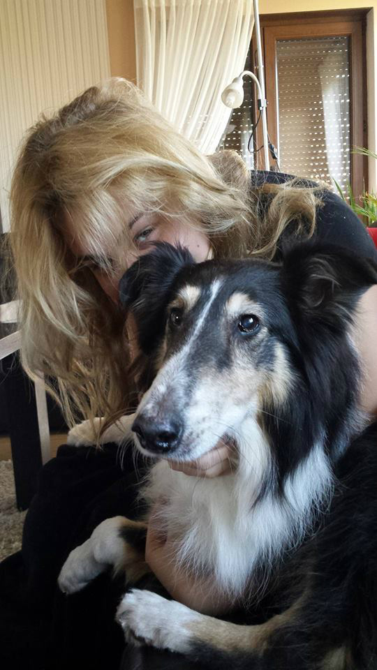 #Collie