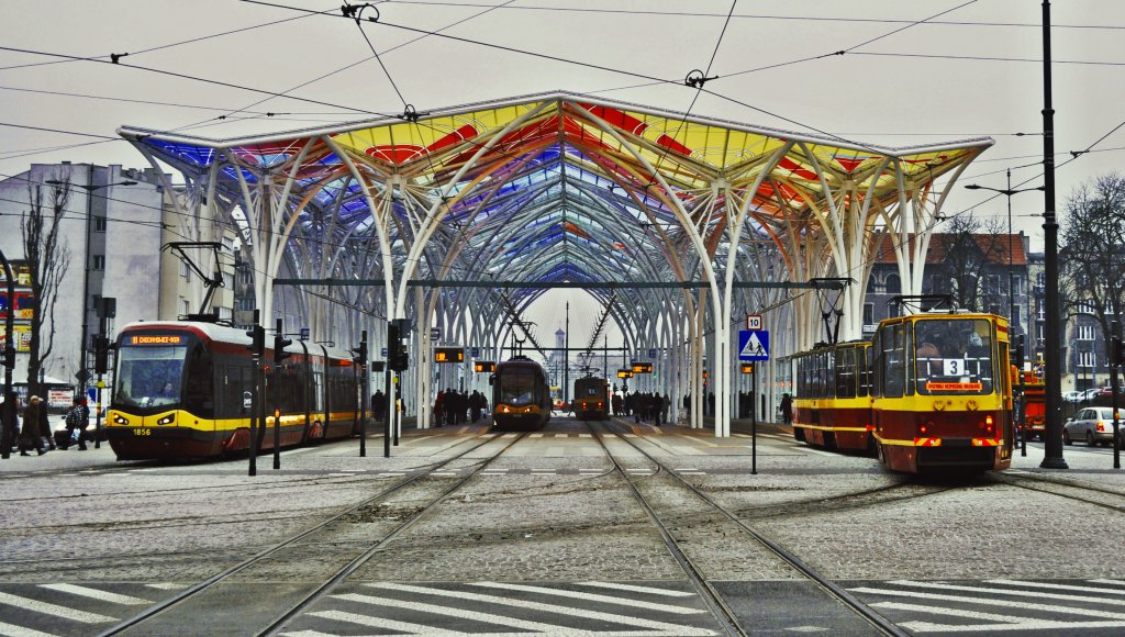 d - stajnia jednorocw