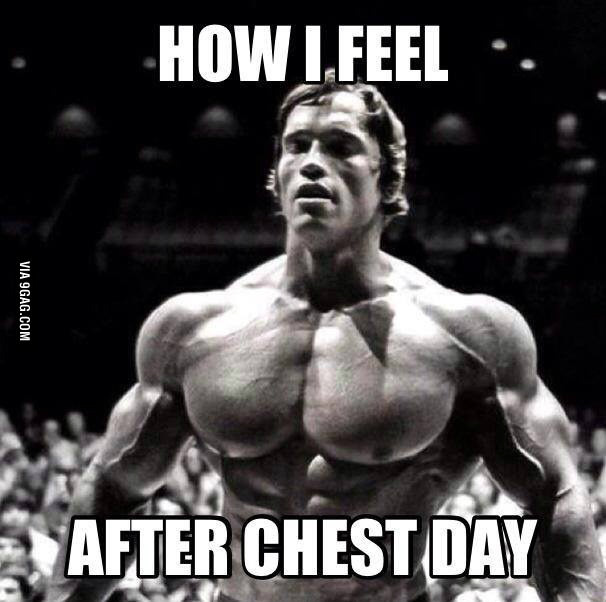 chest chest chest ! 