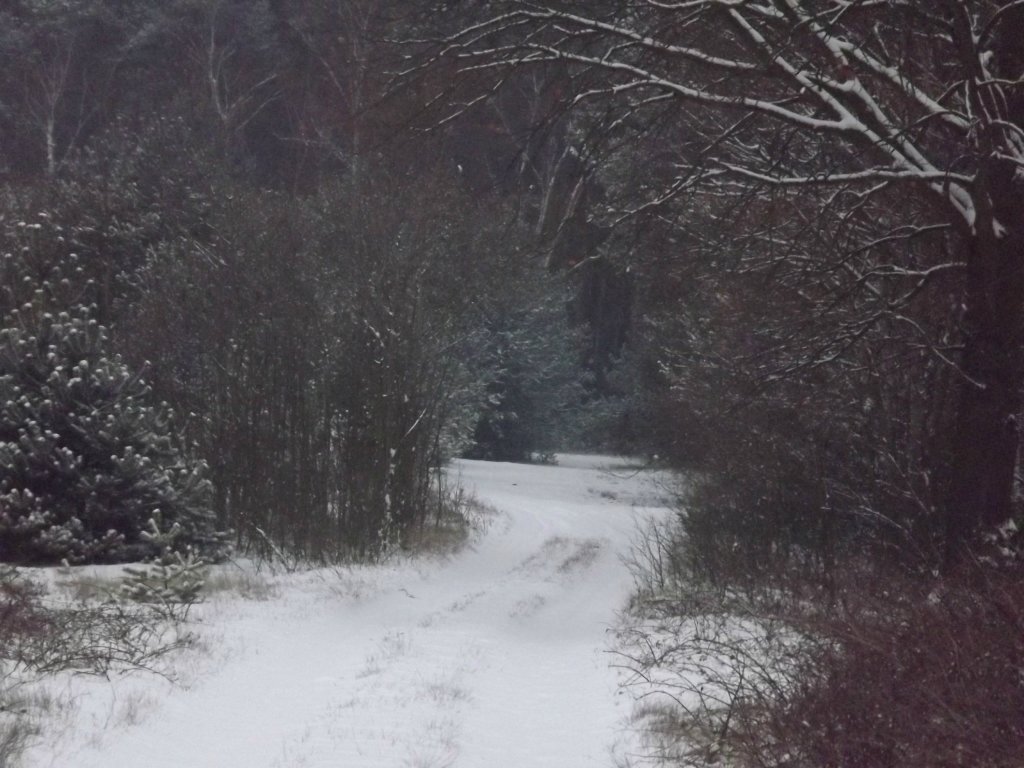 1.