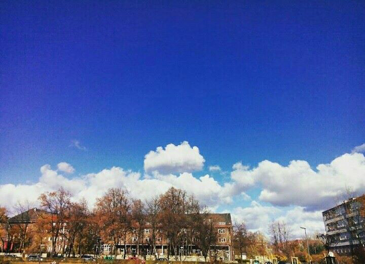  Wonderful Sky.