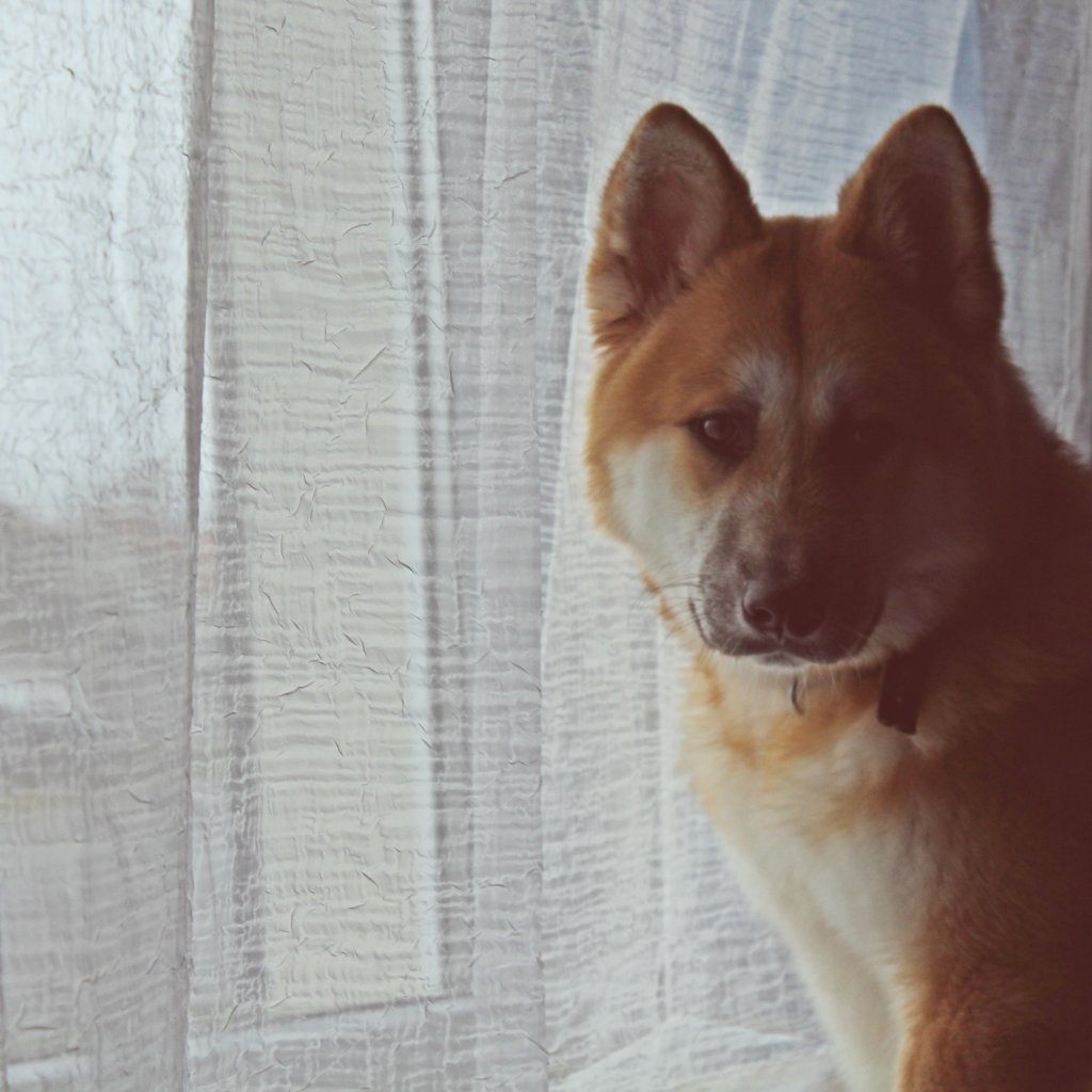 Kita.