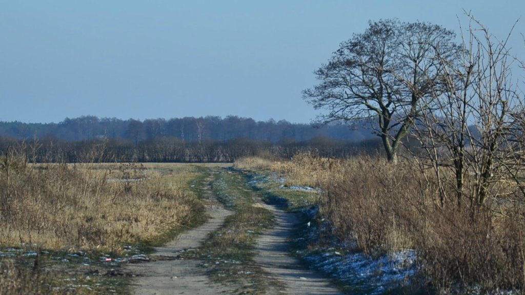 I'll find my way home
